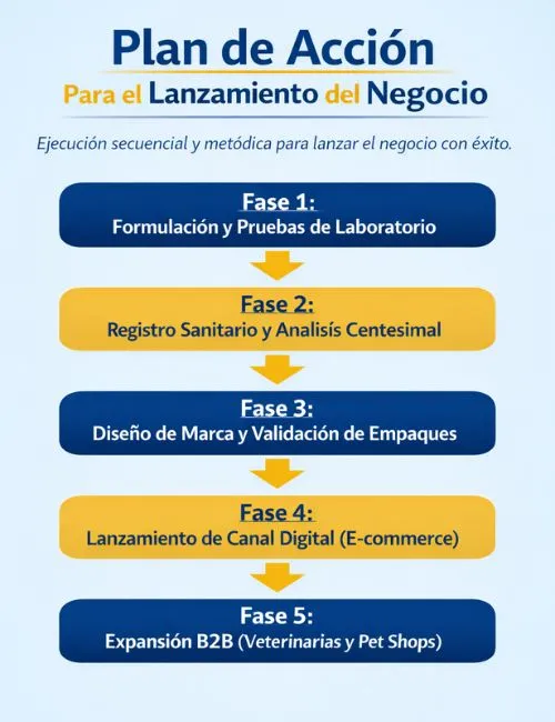 plan de lanzamiento