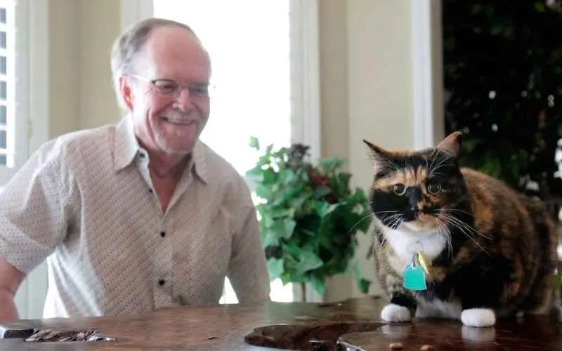 (71) Historias reales de gatos que salvaron a sus dueños 4 Historias Geniales de Gatos Héroes