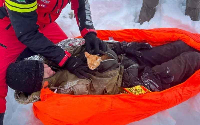 (71) Historias reales de gatos que salvaron a sus dueños 6 Historias Geniales de Gatos Héroes