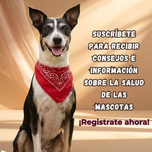 Suscríbete para recibir consejos e información sobre la salud de las mascotas (1)