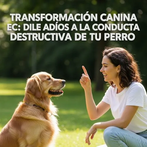 curso EC. adios a la conducta destructiva de tu perro