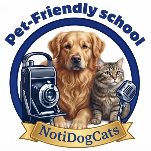 notidogcats.com