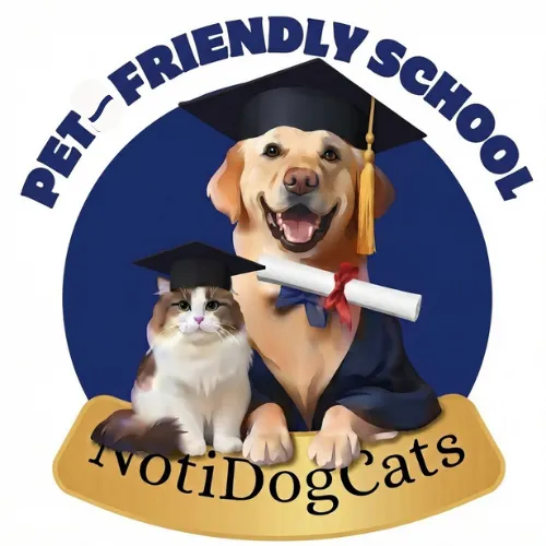 notidogcats.com